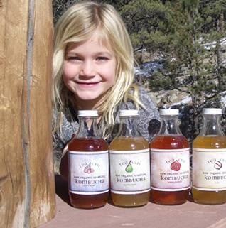 Kombucha engarrafado em diversos sabores