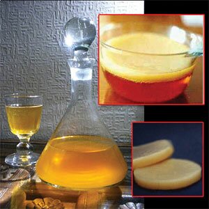 Kombuchá e colônia