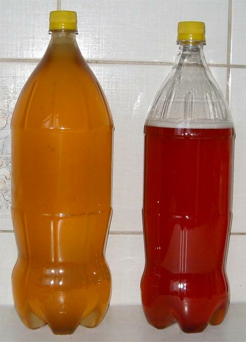 Garrafas de PET prontas para a segunda fermentação