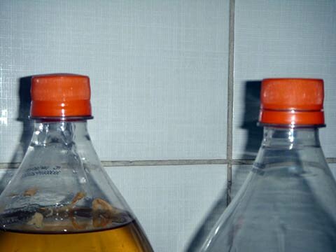 Comparação entre as tampas das garrafas PET lacradas a alguns dias