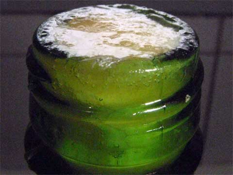 Bico da garrafa segunda fermentação Kombucha