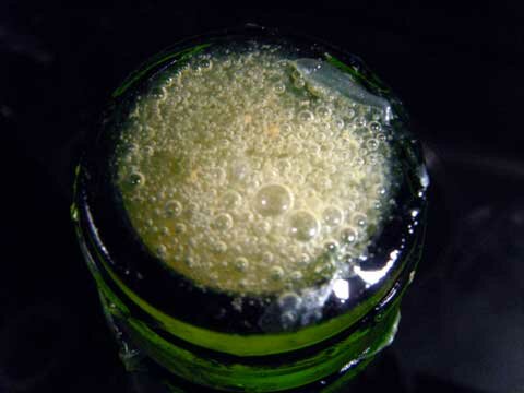 Bico da garrafa segunda fermentação Kombucha