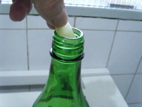 Colocando gengibre garrafa segunda fermentação Kombucha