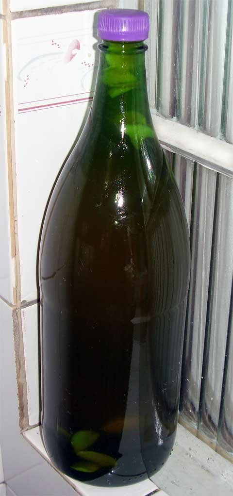 Garrafa pronta segunda fermentação Kombucha